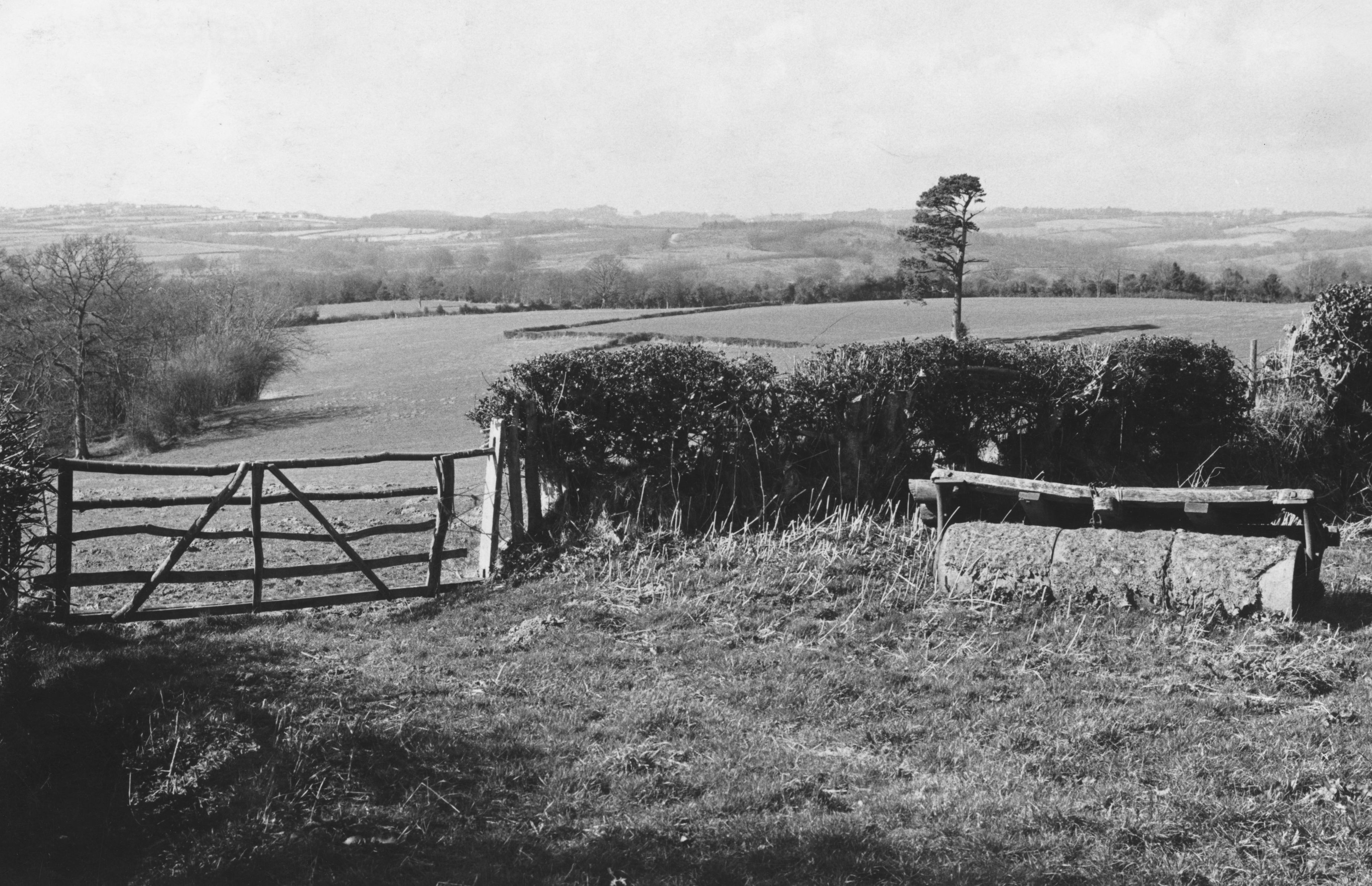 Black and white image of a rural scene