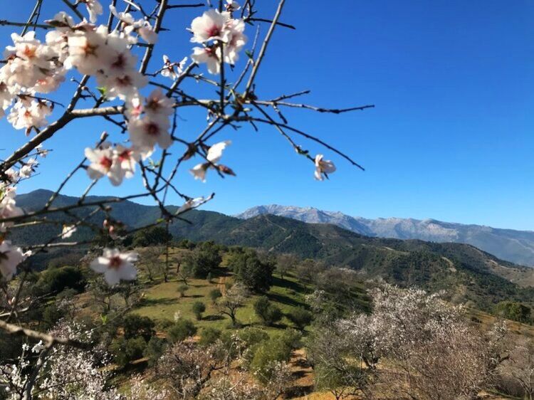 Sierra de las Nieves, Spain