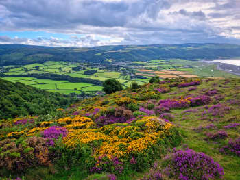 Exmoor National Park