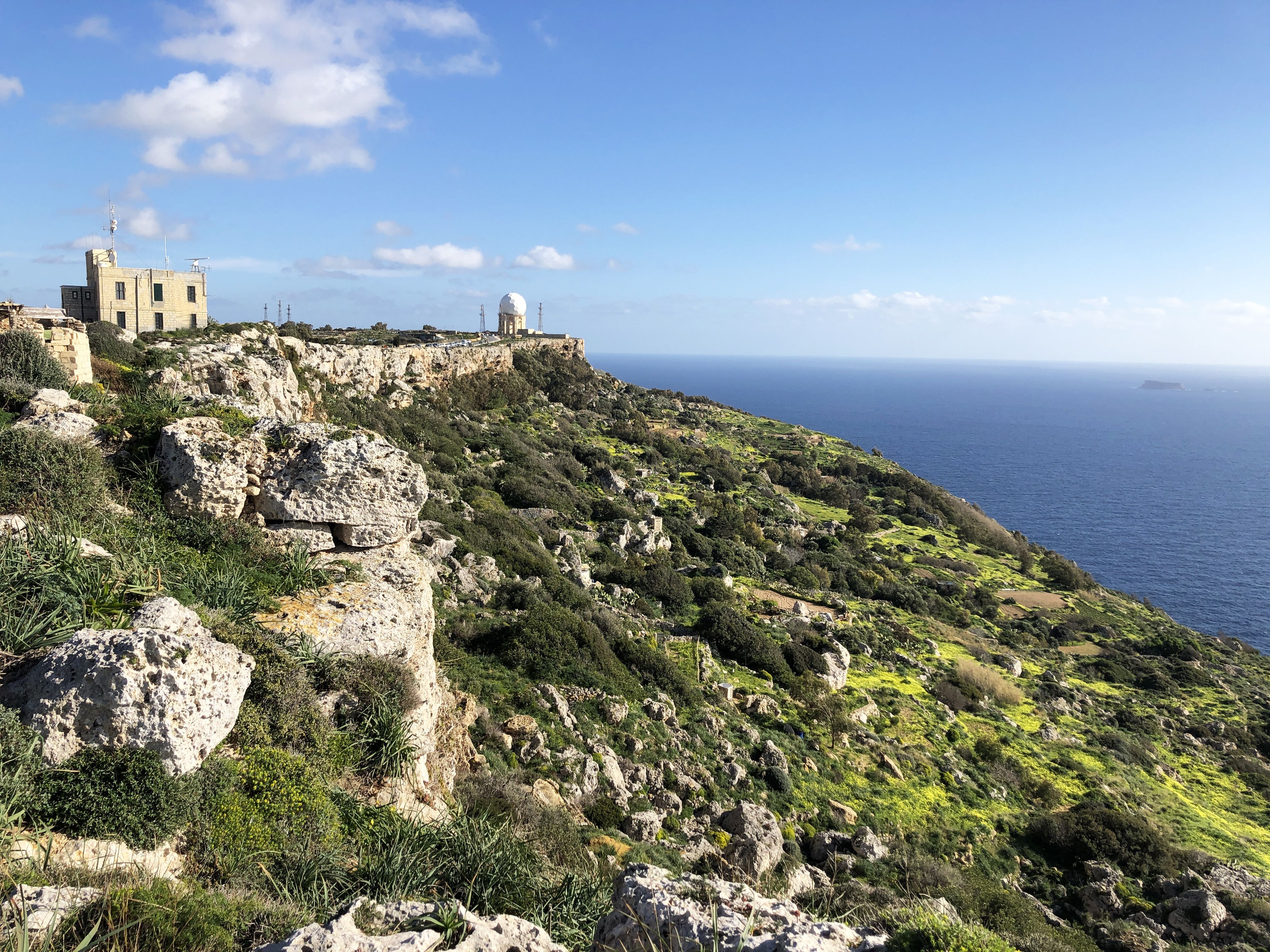 Palm trees and rural landscape in Malta
