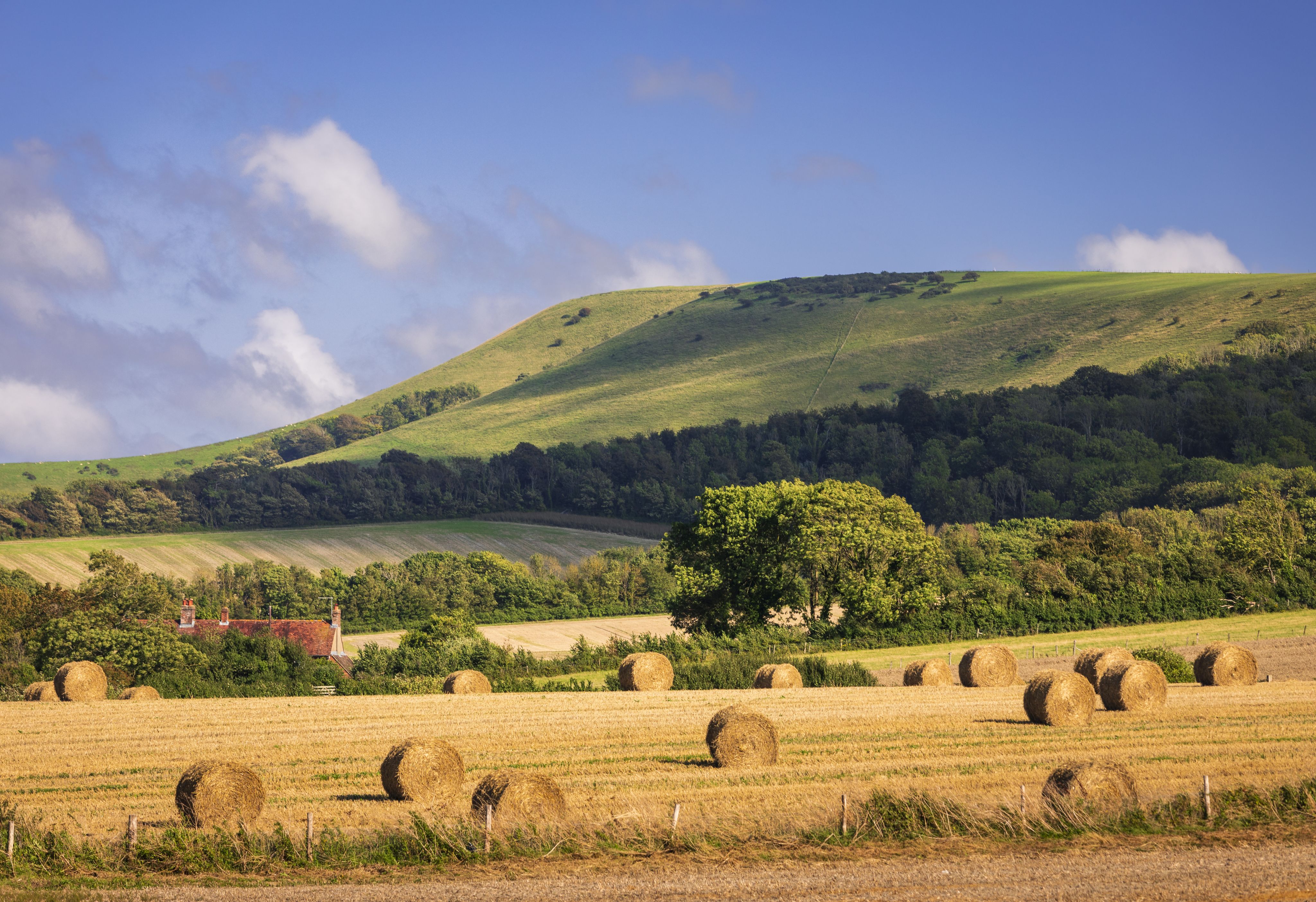 South Downs National Park