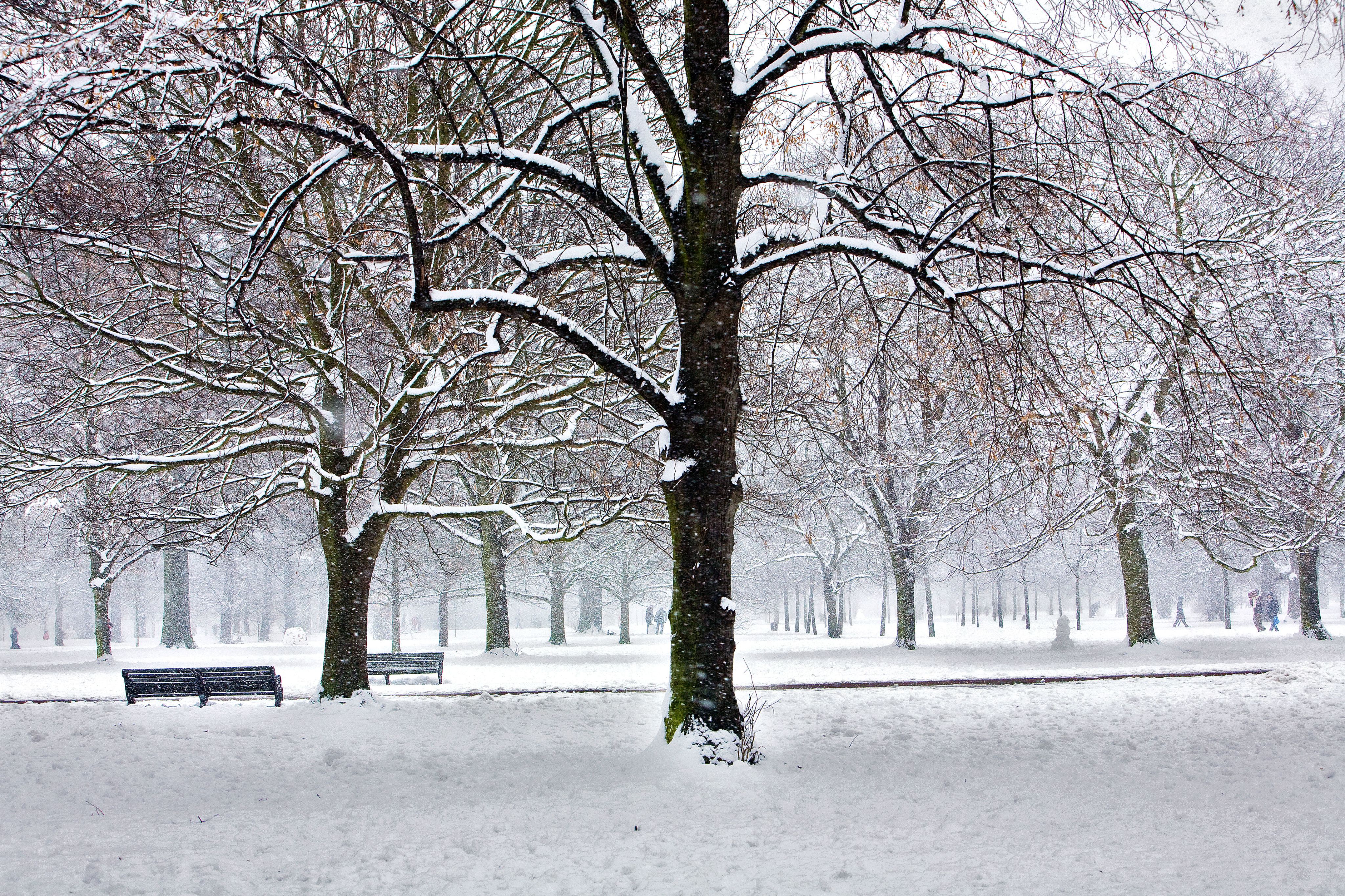 London park in winter, coated with snow