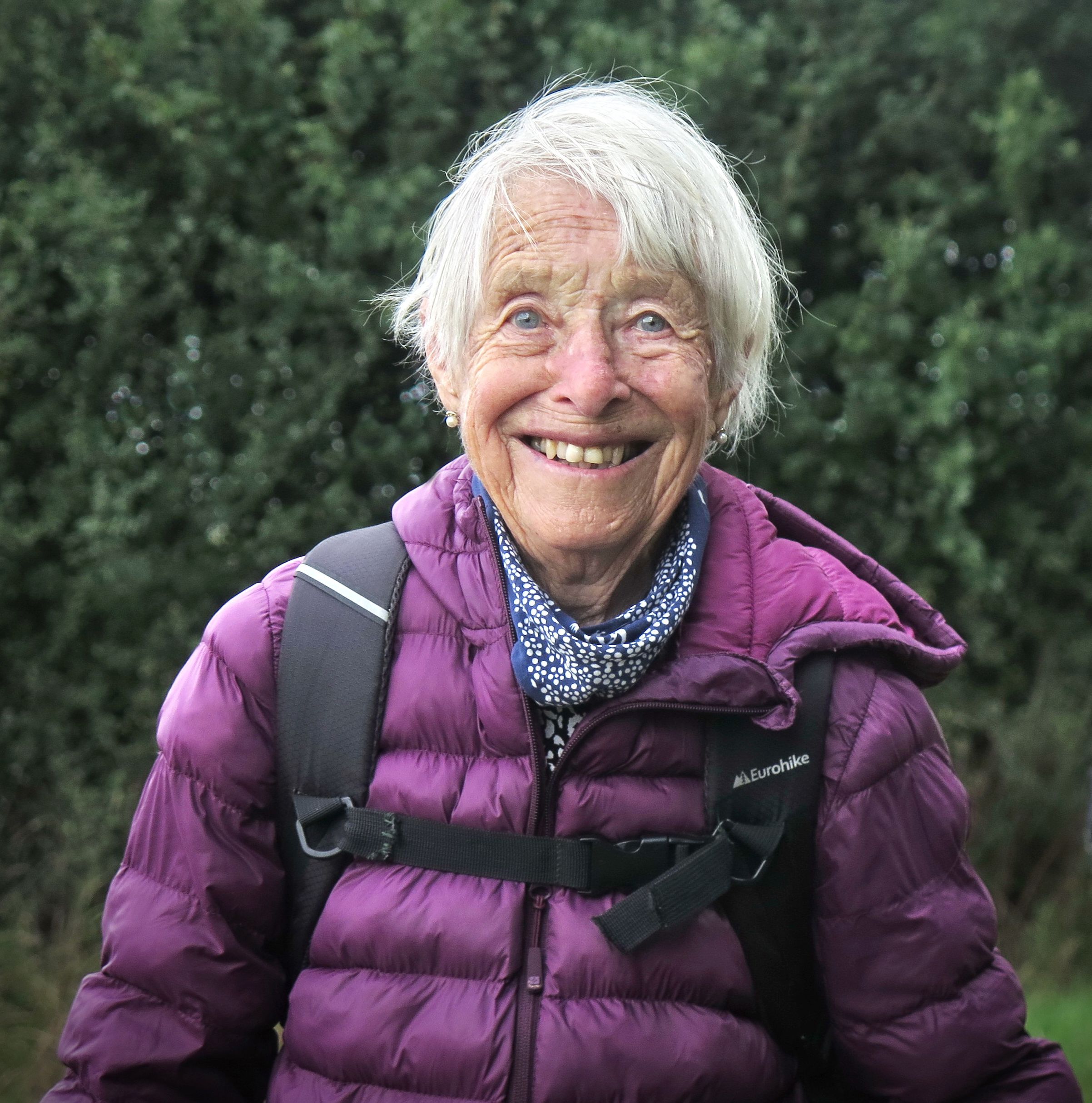 Rambler Marie in Outwood, Surrey, in 2024